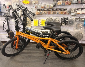 BLJ 20" D1 Folding Bike 6 Speed
