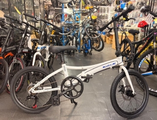 BLJ 20" D1 Folding Bike 6 Speed