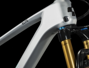 Cube ELITE C:62 PRO Carbon Mountain Bike 29" Silver/Carbon