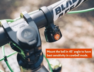 Granite Cricket Bell