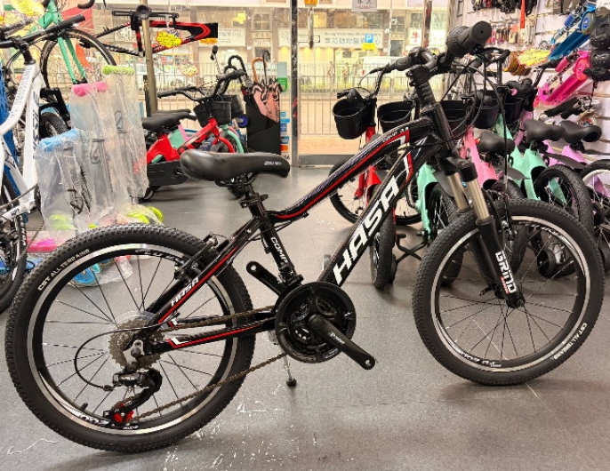 HASA Disc Mountain Bike 20"