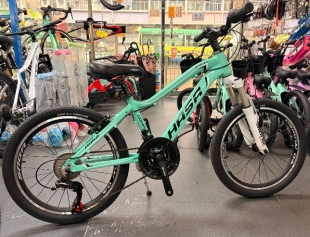 HASA Disc Mountain Bike 20"