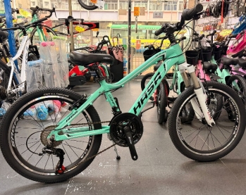 HASA Disc Mountain Bike 20"